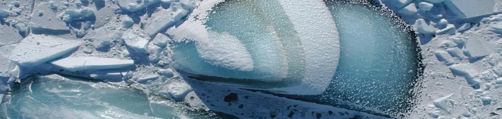 The International Glaciological Society will hold an International Symposium on Sea Ice in a Changing Environment in 2014. The symposium will be held in Hobart, Australia from 10 to 14 March 2014.