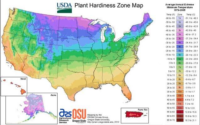 U.S. HARDINESS ZONES Hardiness zones are based on the