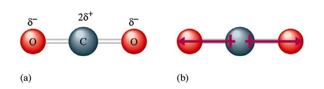 Any diatomic (two-atom, but not necessarily the same atoms) molecule that has a polar bond also will show a dipole moment. Polyatomic molecules can also exhibit dipolar behavior.
