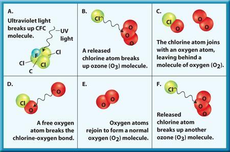 1 Chlorofluorocarbon molecules destroy ozone
