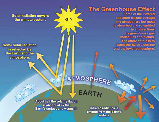The Greenhouse effect Some of the Greenhouse Gases: