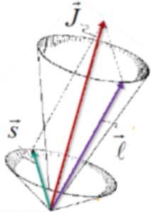 Woods-Saxon potential Woods-Saxon does not reproduce the correct magic numbers (2, 8, 20, 40, 70, 112, 168) WS (2, 8, 20, 28, 50, 82, 126) exp Meyer und Jensen (1949): strong spin-orbit interaction