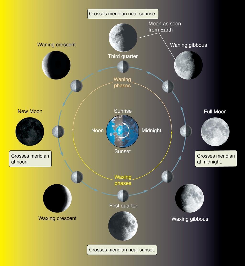 Phases of the Moon The moon s phases are