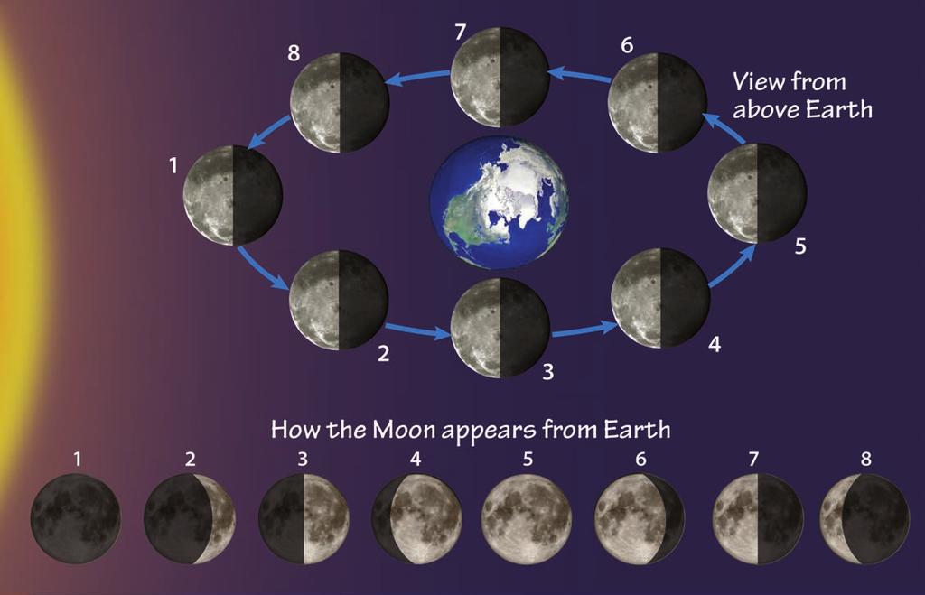 The changing appearances of the Moon as it makes one complete revolution around the Earth are known as moon phases.