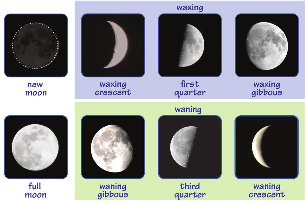 Phases, Eclipses and Tides Moon Phases A new moon occurs when the sunlit portion of the Moon is facing away from the Earth. The Moon is waxing when the sunlit portion is getting larger.
