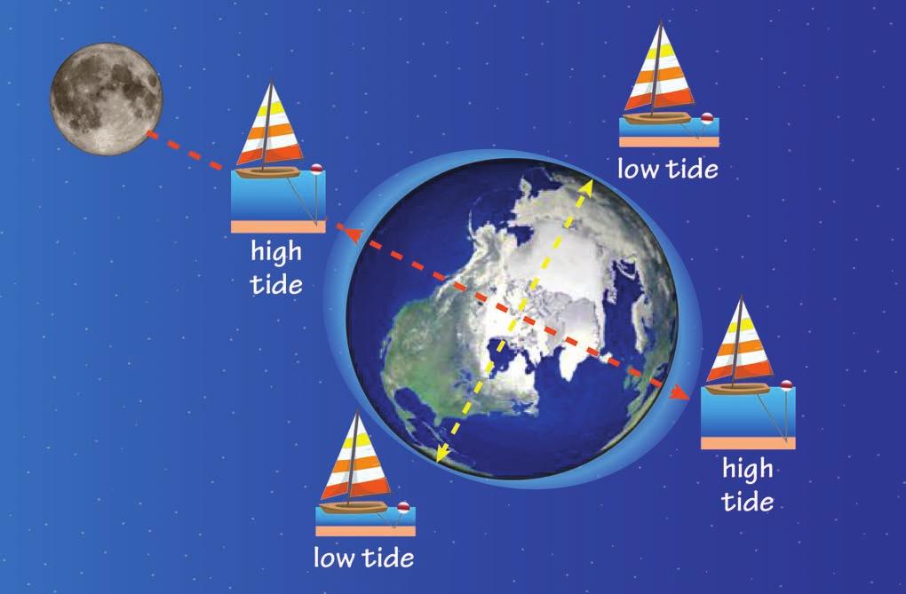It is rare that the Moon is in the Earth s shadow during a full moon or between the Earth and Sun during a new moon. What Causes Ocean Tides? Changing water levels of the oceans are known as tides.