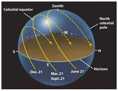 Sun's Daily Paths In the summer, the Sun is north of the celestial equator L H D In the winter, it is