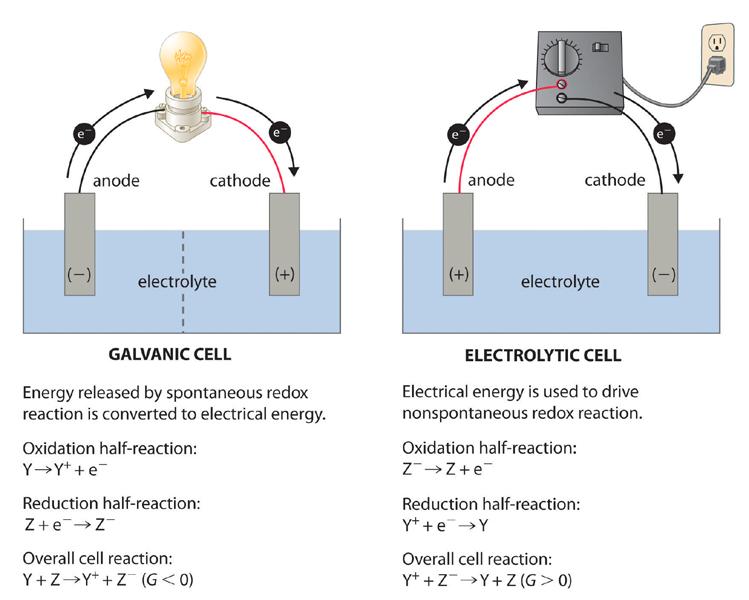 Electrochemistry Electrolytic Cells and Electroplating What I Absolutely Have to Know to Survive the AP Exam The following might indicate the question deals with electrochemical processes: E cell ;