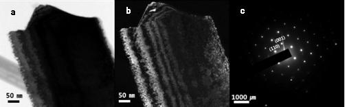 Figure S3. (a) Bright-field and (b) dark-filed TEM images of N-GQSs dispersed on p-sinws.