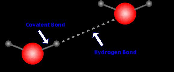 The hydrogen bonding not a true bond! an IMF between a Hydrogen that is bonded to an electronegative atom (N, O, F) and a lone pair on a N, O, or F a dipole/dipole interaction!