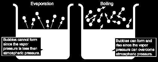 16 The temperature at which the vapor pressure equals the external pressure over the liquid is the boiling point.