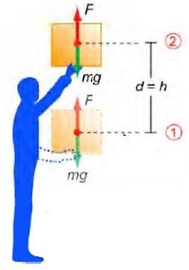 3.6 Energy Gravitational potential energy We can choose referent point anywhere we want. P.E. of gravity Reference point P.