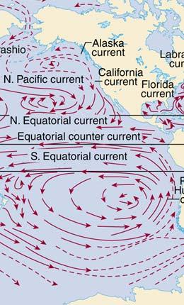 Summary: Ocean Gyres Large ~ circular current flows Set in motion by main