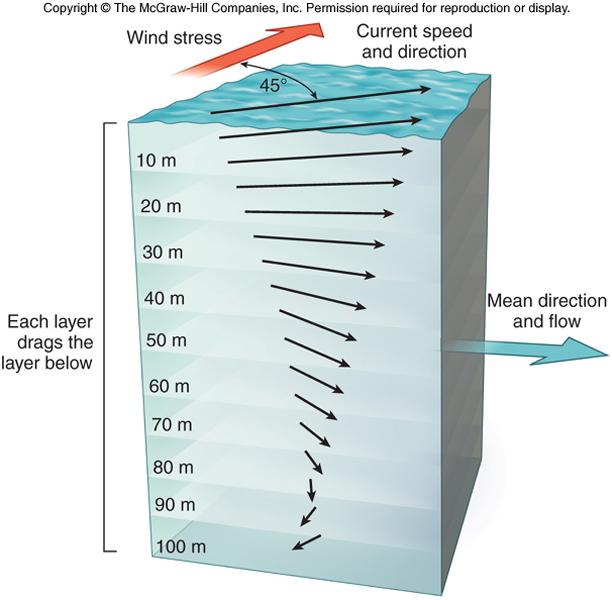 Ekman Spiral Model of surface response to wind forcing - When wind blows over the ocean, surface water moves