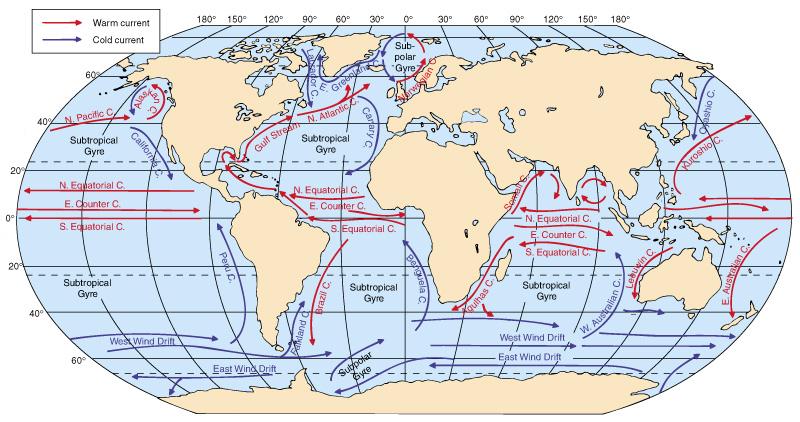 Western boundary currents Found in all the ocean