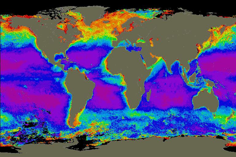 Global chl map Chlorophyl a: