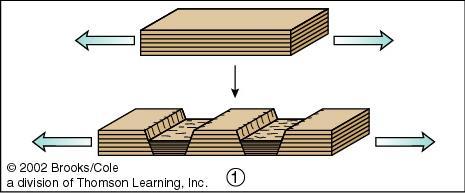 2. Divergent - boundaries where plates move apart; new ocean floor is created, spreading rates can differ at ridges (slower, steep slopes) and rises (faster, gentler slopes)