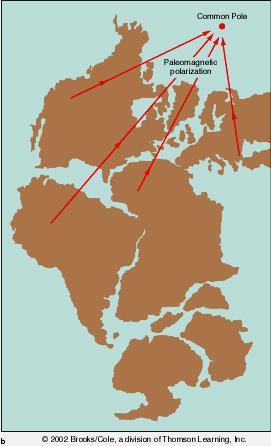2. Apparent Polar Wandering: plate movement causes the apparent position of the magnetic poles to have