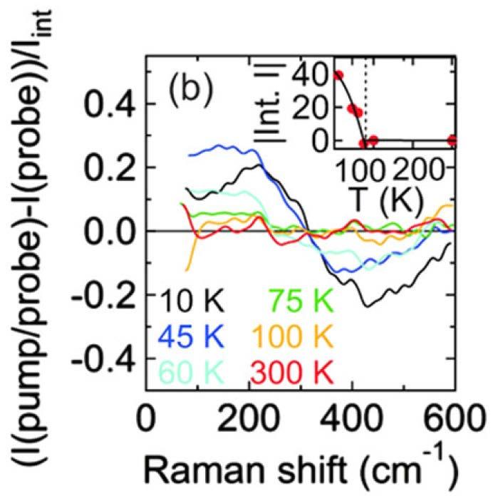 Exp.: Time-resolved Raman scattering (I) Bi2212, B 1g