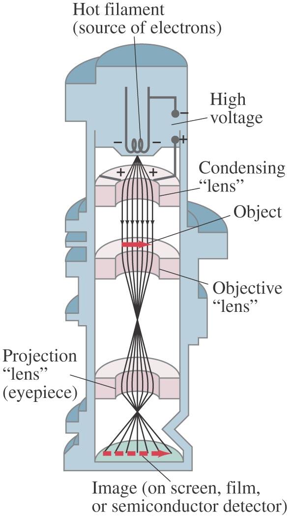 37-8 Electron Microscopes Transmission electron
