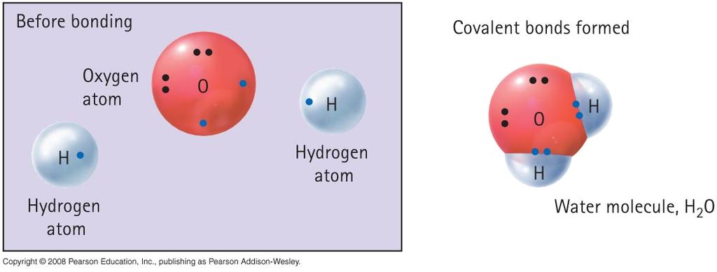 Covalent Water The number of covalent bonds an atom