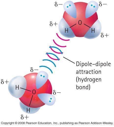 Dipole-dipole attraction Water and