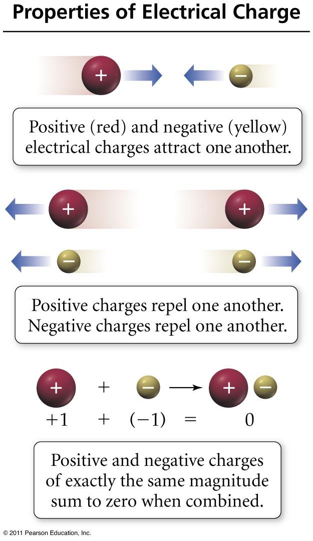 Some Notes on Charge Two kinds of charge called + and Opposite charges attract + attracted to Like