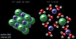 attracted to the polar ends of water Cellulose, sugar, salt Blood Oils, lipids Cell membrane - This is very important because ions such as