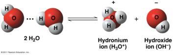 shifts from one molecule to another Result: H + + H 2 O H 3 O + (hydronium ion) H 2 O H + OH - (hydroxide ion) ph: number of H ions in a