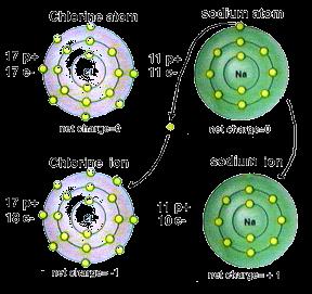 The arrangement of their electrons determines how atoms bond together. An atom becomes stable when its outer electron level is full.