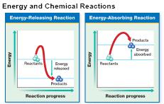 Section 4 Energy and Chemical Reactions Objectives Evaluate the importance of energy to living things. Relate energy and chemical reactions. Describe the role of enzymes in chemical reactions.