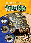 The Life Cycle of a Turtle by Colleen A. Sexton (2011) Includes bibliographical references (p. 23) and index. Introducing turtles! -- The egg stage -- The hatchling stage -- The adult stage.
