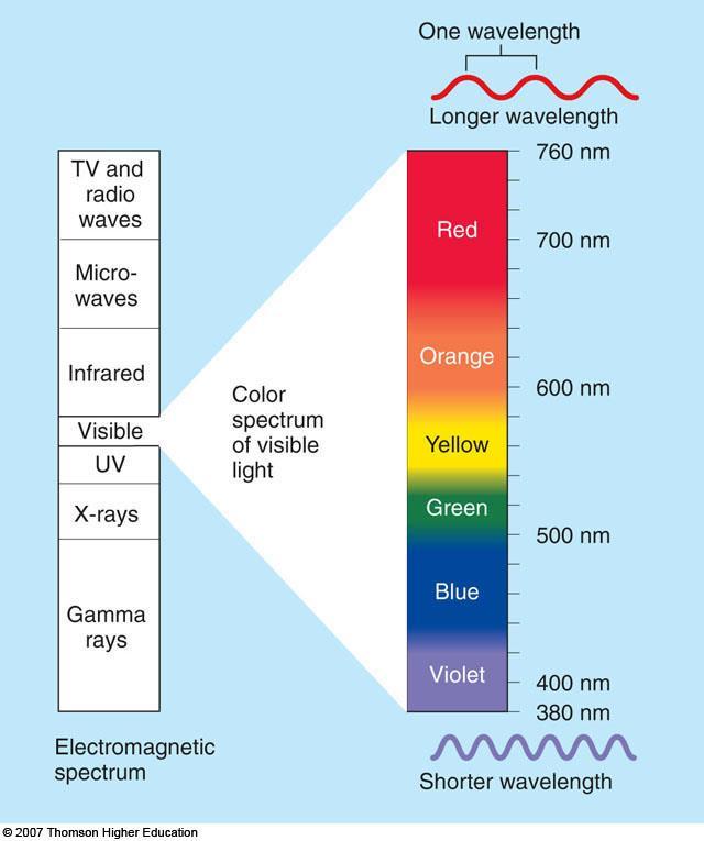Lecture 9: Photosynthesis I. Characteristics of Light A. Light is composed of particles that travel as waves 1.