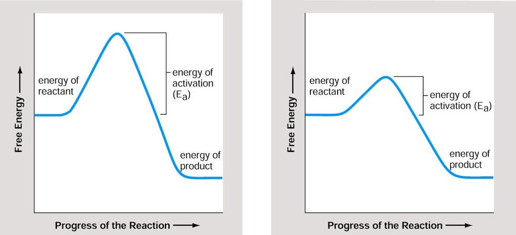Energy of Activation Energy of Activation The energy that must be added to cause molecules to react with one another