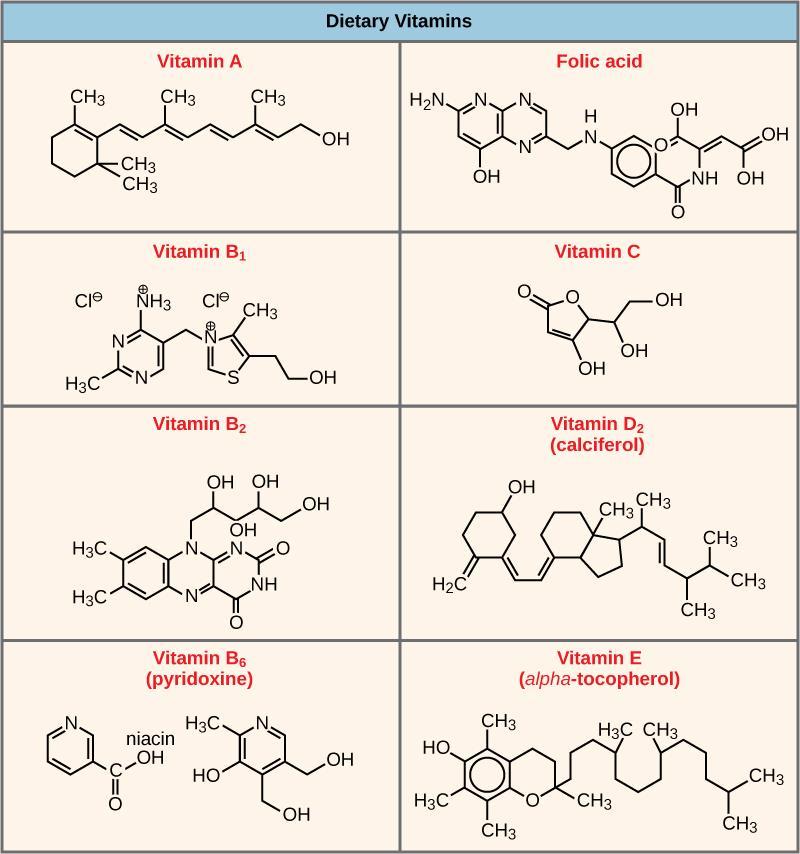 Coenzymes Organic Vitamins (B 12 /B