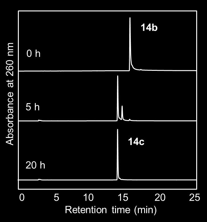 Figure S3. HPLC analysis of the reductive conversion of 14b into 14c by treatment with 10 mm glutathione (ph 7.0). A COSMOSIL 5C18-MS-II φ 4.