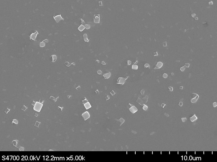 Figure S7. SEM images of the blank experiment prepared from HCl-NaOH solution. Table S2. DLS results at different ph values polymer a ph b diameter (nm) c Polydispersity d 2 58.7 0.138 4 75.3 0.