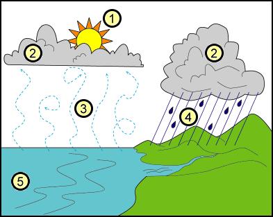 QUESTION/DIAGRAM WATER CYCLE A.