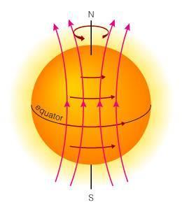 The sunspot cycle has to do with the winding and twisting of the Sun s