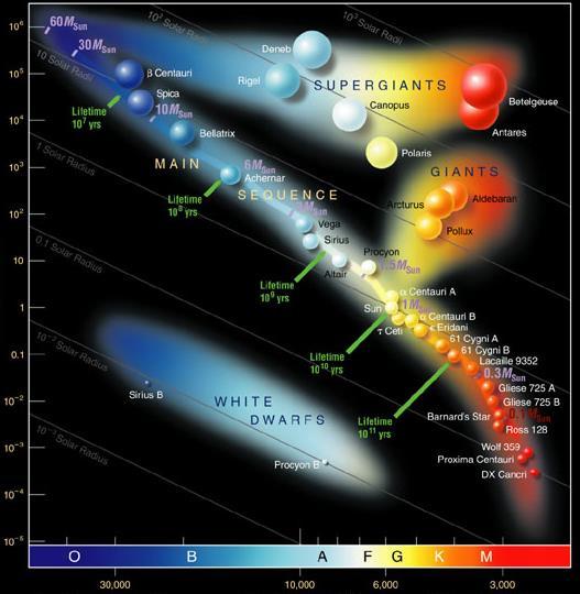 Luminosity Temperature HERTZSPRUNG-RUSSELL DIAGRAM A Hertzsprung-Russell diagram plots luminosity versus surface temperature or spectral type Remarkably, that s all you need to know about a star you