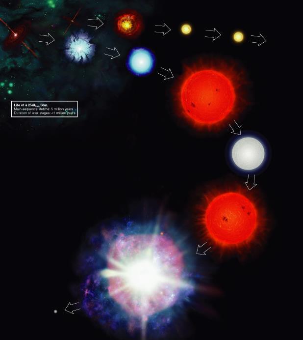 A star s mass determines its entire life story by determining
