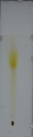 Spot1=4.0 A Spot1=2.0 Figure 3: TLC of Hydroalcoholic extract of Daruharidra.