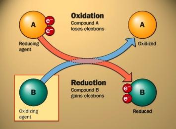 Processes of Decomposition Oxidation and