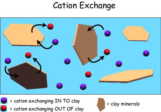 Chemical Weathering and Soils Ion exchange - is the substitution of ions in solution for those held by mineral grains - most effective in clay minerals.