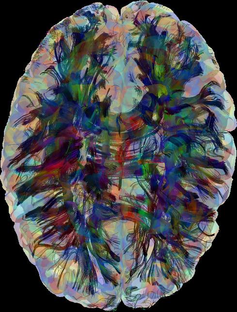 Cortical connectome graph seed in white matter, retain tracts connecting cortex to cortex