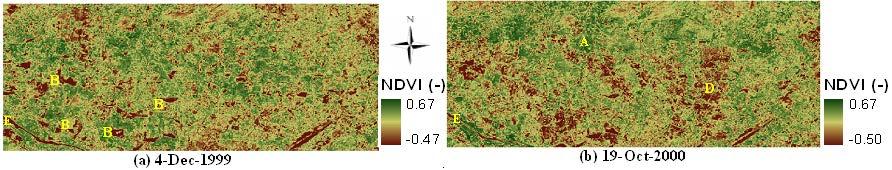 Spatial Variation of NDVI Image