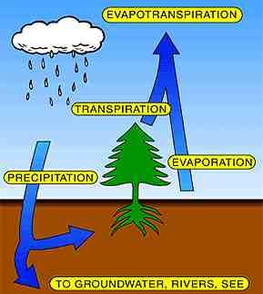 INTRODUCTION What is Evapotranspiration?