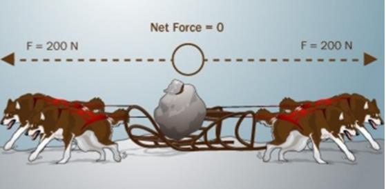 What is an unbalanced force? This is a balanced force which means that the sled will not move.