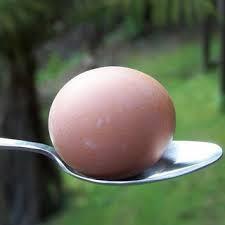 What s an unbalanced force? The egg topples whenever the STATE OF MOTION is changed.