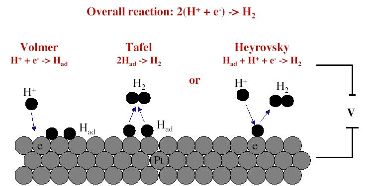 In the case of the hydrogen evolution reaction, the two surface reaction mechanisms were approved experimentally.